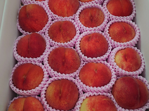 【お試し規格】訳あり C品　約5kg　13～20玉　9月上旬　お得にたくさん食べたい方へ　農家直送