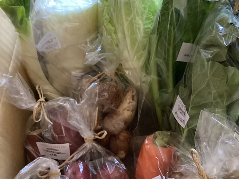 自然栽培野菜一人暮らしの方にオススメセット【7〜9 種類】