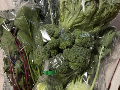 旬のお野菜おまかせセット(60サイズ)