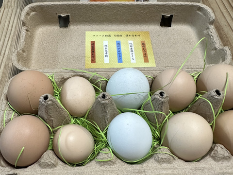 【大好評につき継続販売】スペシャル5種食べ比べ20個セット！富士山の麓でのびのび育ったたまご【食べチョクアワード入賞】