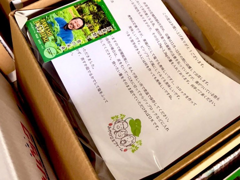 三宅島特産赤芽芋(2kg以内) 農家の雑談カード付き
