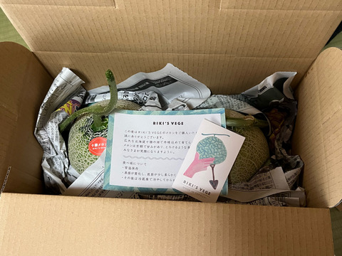 十勝メロン（赤肉キングメロン）2個入れ