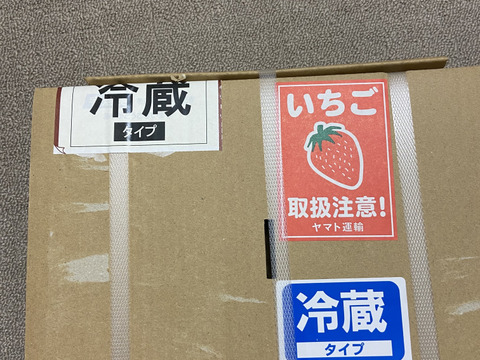 じゅわっと甘い群馬のいちご完熟やよいひめ粒ぞろいDX2パック