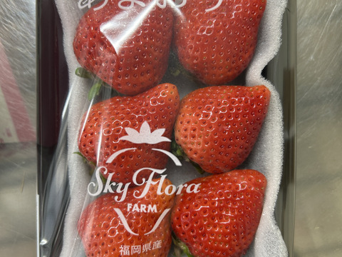 🍓イチゴ🍓　家庭用🍓福岡県産🍓  空中で真っ赤に実る🍓【あまおういちご】 180g×6pc