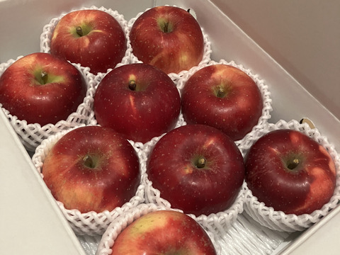 【りんご】福島県オリジナル品種！酸味が美味！「べにこはく3ｋｇ」（フリーサイズ）