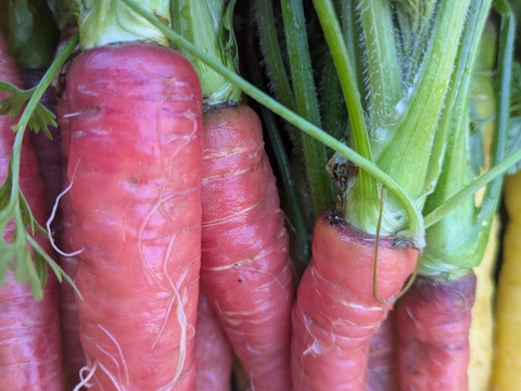 ❄☃️７品冬の野菜セット☃️❄