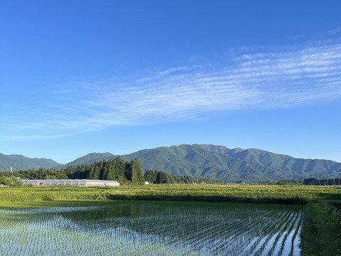 厳選！栃木県那須塩原市産コシヒカリ
令和7年産新米10キロ