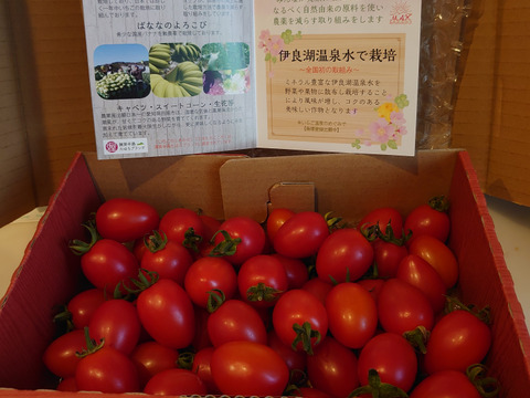 やみつきになるミニトマト－とまとのこころ（1㎏）