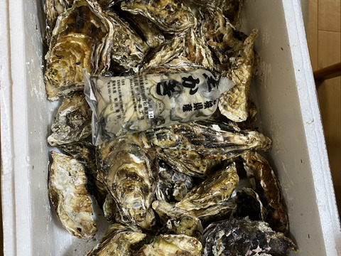 【水産庁補助事業 送料無料】剥き身セット🚚4.3kg 生牡蠣🦪生食用むき身300g+殻付き牡蠣普通サイズ ４kg（目安24-64）松島牡蠣屋 C