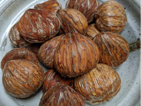 【期間限定】お手軽むき栗300g(渋皮)　味、香り、絶品！！ほっぺのおちるむき栗(熊本県産)※採れたて真空パック ※冷凍希望の方はお申出下さい