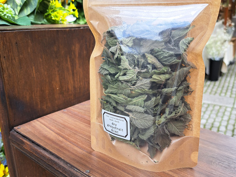 香り豊かなグレープフルーツミント ドライ 10g