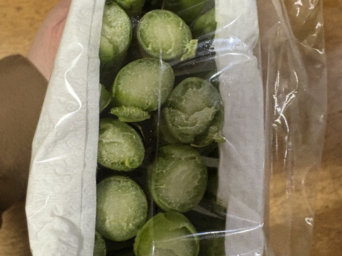 みずみずしく濃厚！大山を望む大地で育てた朝取り新鮮アスパラガス　500g