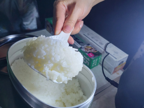 令和7年！農薬不使用新米！
コシヒカリ10㎏