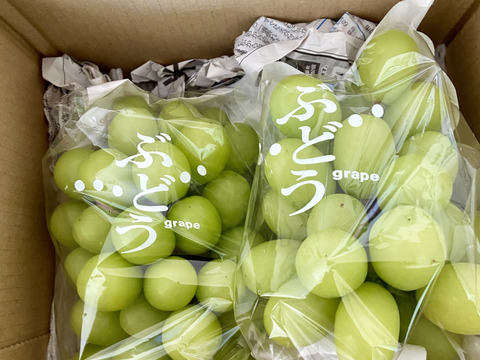 【訳あり1】シャインマスカット2房(約1kg)