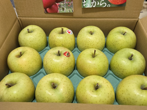 農家直送　青森りんご　王林(おうりん)　家庭用　約３キロ　同名タレントさんの活躍で、知名度抜群の甘いりんご！