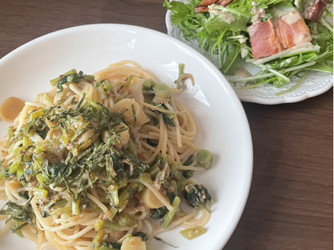 農薬不使用でサラダもできるシャキシャキ水菜1kg