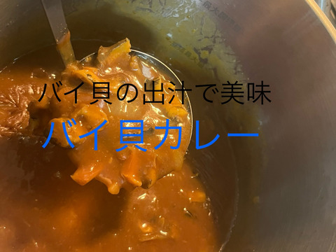 秋田県産　生きてます！黒バイ貝2ｋｇ。60個前後　貝類好きにオススメ