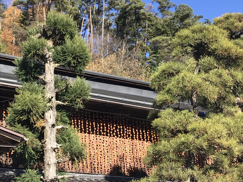 ☆自然派干し柿サイズミックス１.５キロ無燻蒸干し柿☆