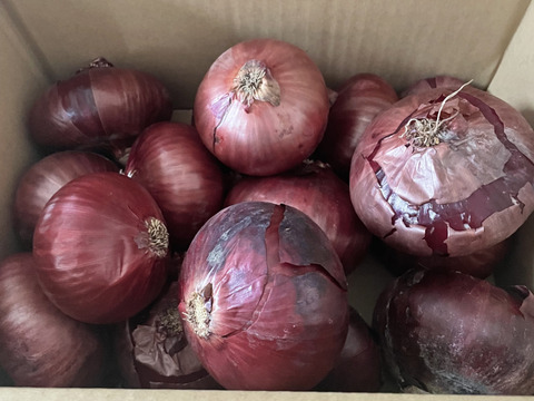 訳ありレッドオニオン❣️4kg〜玉ねぎ大国淡路島からの玉ねぎ