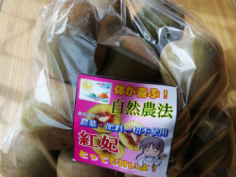 自然農法　キウイフルーツ babyベイビー紅妃(農薬・肥料不使用）　1ｋｇ