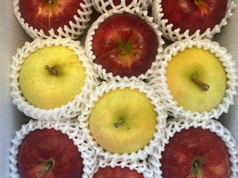 【家庭用】10月のりんごお楽しみBOX　約3kg（8～12個）