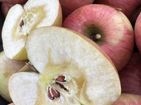 [数量限定出品]甘い！濃い！「葉取らずサンフジ」約5kg箱　12〜18玉