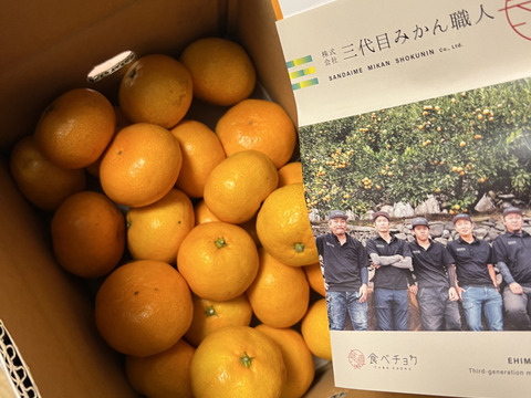 頂みかんプレミアム3ｋｇ