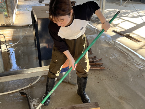 ♫うれしい大容量♫平飼いごちそう卵【あかねの虜】個性豊かな規格外品（160個入） 28歳2児の母がプロデュースする話題の卵【👑大手検索サイト「福岡 卵」表示ランキング１位の農場です👑】