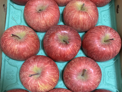 さんフジ 山形 朝日町産 小玉 りんご 約3kg   1級品 贈答用 家庭用 リンゴ