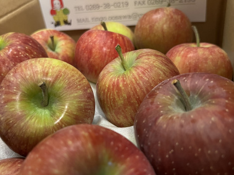 信州りんごプライスダウン🍎4キロ(ふじ小玉極小玉)