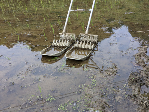 [農薬・化学肥料・除草剤不使用] 玄米豆もち(400g×2袋)