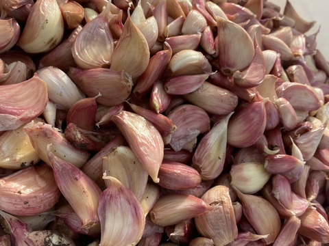 本場スペインの味！　香り高くマイルドなスペインにんにく　アホモラード　【1kg】