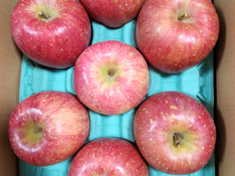 【夜市限定】感謝お礼セール‼️とことん味にこだわりました💪😊🍎青森県産葉取らず完熟ふじ3キロ。