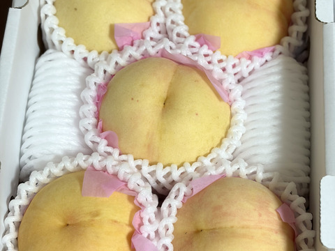 🍑おかやまの白桃 小箱【4〜8個】【ご自宅用】：岡山県産の白桃｜食べ