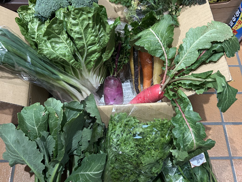 【冬野菜福袋】