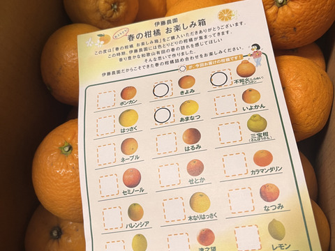 【食べ比べ】3～4種類の春みかん詰め合せ♪春かんきつお楽しみ箱【家庭用(訳あり)】5kg zzz2-5