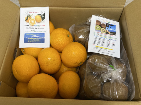 プリっとジューシー　駿河あまなつ（小玉4.5K）