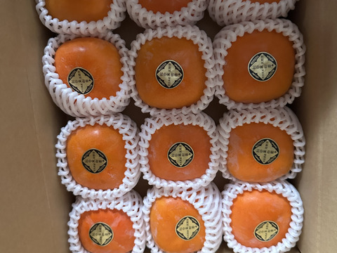 糖度に自信！！ギフトBOX贈答用　刀根早生柿誕生の地より直送 たねなし柿　もらってうれしい甘い柿