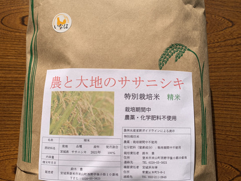 令和4年ササニシキ白米7kg農薬・化学肥料不使用