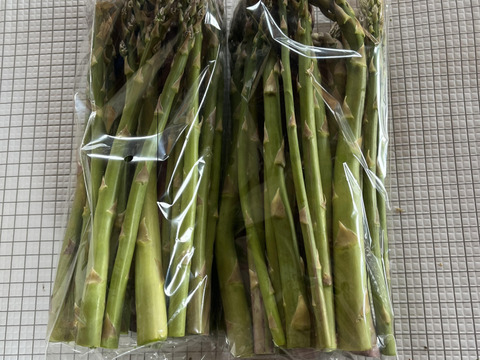 【キズ曲がり訳あり品】アスパラガス２ｋｇ　北海道幕別町産露地（ご家庭用）
