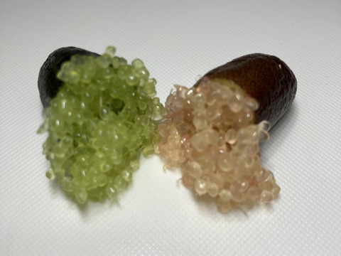 2品種特定 フィンガーライム 計50ｇ（各4～5個）
品種名：コレット（果肉色：緑）＆レッドシャンパン（果肉色：淡いピンク）。手巻き寿司/鰻/焼肉/BBQ等のホームパーティーの味変と話題作りに。