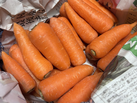 ミニミニ人参！ 2kg