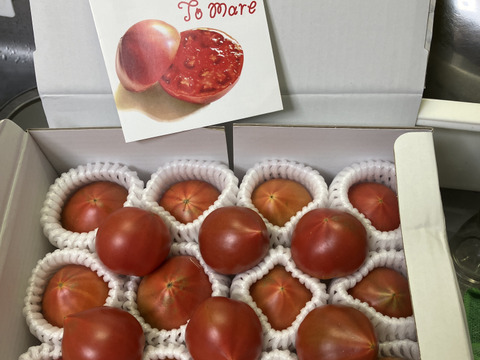【2箱】弾ける旨味・甘み！【ト・マーレ】禁断の濃密さ 750g×２