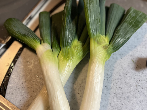 生粋の下仁田ネギ(Lサイズ以上10-12本)