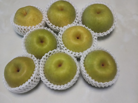 幸水梨 6～8玉 2.5ｋｇ