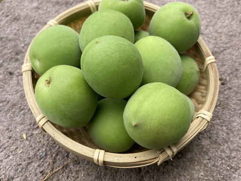 白加賀・青梅】自然栽培 農薬・化学肥料不使用！サイズ混合1kg：群馬県