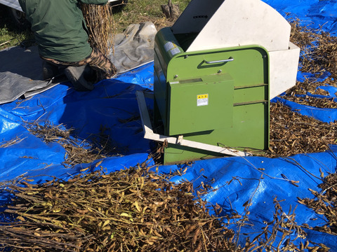 自然栽培黒千石大豆納豆10個