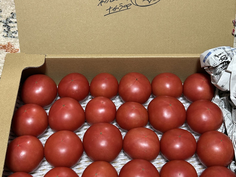 【旨トマト3kg】お買い得☆ジューシーで旨味あるトマト！サラダやパスタにも！（２０～４５玉）