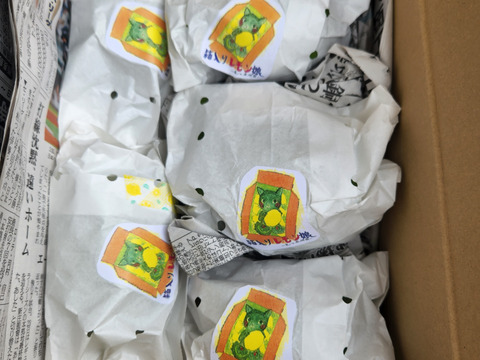 初物❗エコ箱入りレモン息子(栽培期間中農薬不使用・有機肥料・ノーワックス)皮まで食べて❗(2kg)