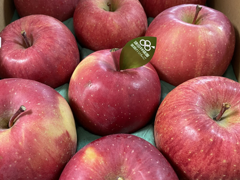 個性派りんご🍎葉隠れサンふじ  冬ギフトにもどうぞ（9個～12個）3キロ箱使用